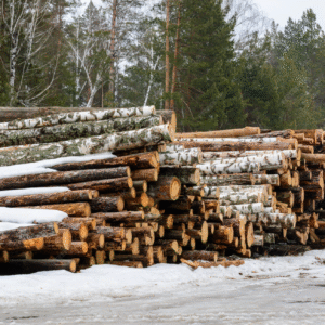 Stammholz - Nadelholz