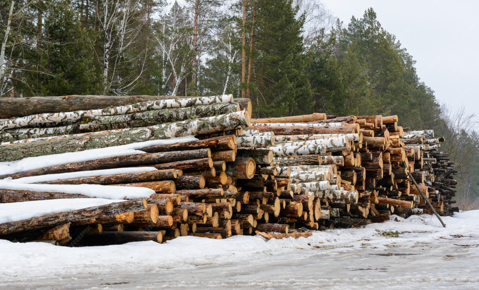 Stammholz - Nadelholz