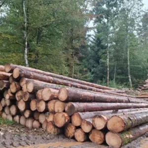 Stammholz - Fichte